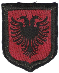Division Skanderbeg.png