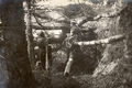 Latvian riflemen 1916 1.jpg